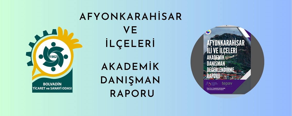 akademik_danisman_raporu_web
